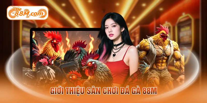 Giới thiệu sân chơi đá gà 88M